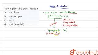 Haplodiplontic life cycle is found in [upl. by Beulah]