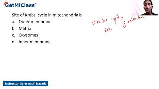 Site of krebs cycle  KCET 11th Biology Respiration in Plants [upl. by Daven]