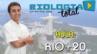 Rio20  Prof Paulo Jubilut [upl. by Gahl]