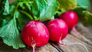 7 Surprising Facts About Radishes You Didnt Know [upl. by Hubsher]