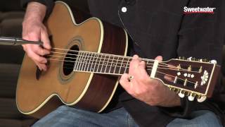 Washburn WP21SENS Acousticelectric Guitar Demo by Sweetwater Sound [upl. by Akciret]