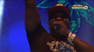 Barrington Levy  Live at Rototom Sunsplash 2015 Full Concert HD [upl. by Neesay684]