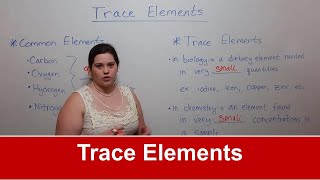 Trace Elements [upl. by Evot14]