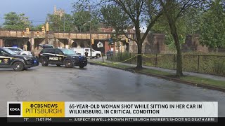 65yearold woman taken to hospital after Wilkinsburg shooting [upl. by Onavlis]