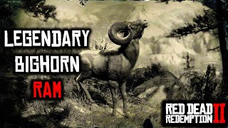 Legendary Bighorn RAM in RDR2 Location [upl. by Aser800]