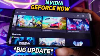 Nvidia Geforce Now BIG UPDATE  New Games Added  Palworld  Forza Horizon 5 Gameplay [upl. by Eytak567]