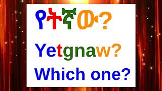 How To Say quotWhich Onequot In AmharicAmharic Phrases For BeginnersአማርኛእንግሊዝኛAmharic LessonAmharic [upl. by Ataner193]