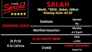 Salah v Stakkato Gold  A la Carte NRW  Cornet Obolensky  Pilot [upl. by Thar]