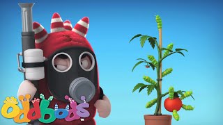 Oddbods  Fuse and the Hungry Caterpillars [upl. by Kamilah]