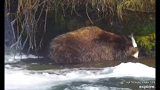 12 Oct 2023 151 Walker catches huge fish and washes face after dinner exploreorg [upl. by Leahcym39]