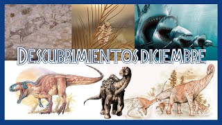 DESCUBRIMIENTOS DICIEMBRE 2019 DINOSAURIOS EMPLUMADOS PADECÍAN PIOJOS TAMAÑO DEL MEGALODON [upl. by Margette]