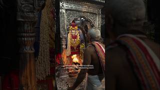 Kaal Bhairav The Eternal Protector of Sacred Kashi Dham🔱 shorts [upl. by Nylkaj]