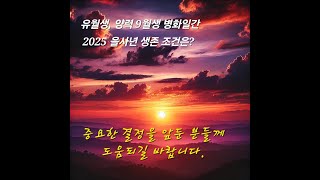 유월생 양력 9월생 병화일간 병인 병진 병오 병신 병술 병자일주 2025년 을사 운세 [upl. by Kassity]