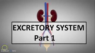 The Endocrine System One Shot Part2  ICSE Class 10 Biology Chapter 12  Semester2  Vedantu [upl. by Ignaz]