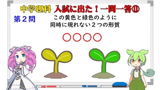 【中学理科】高校入試に出た！理科の用語（11）エンドウの子葉の色の黄色 [upl. by Nawud686]