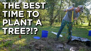 The Ultimate Tree Planting Guide  Timing is Everything [upl. by Attelrak840]