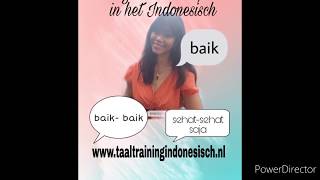 Indonesisch leren Hoe zeg je hoe gaat het met jou in het Indonesisch [upl. by Longtin257]