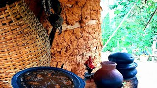 ඇබරැල්ල කරිය දකුණේ ක්‍රමයට හදමු 😋 ambarella curry sinhala recipes by gami sara [upl. by Nerland]