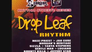 Drop Leaf Riddim Mix 2005 By DJ WOLFPAK [upl. by Ott622]