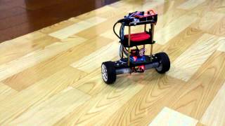 2 Wheel Self Balancing Robot [upl. by Claudio]