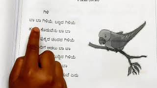 Baa baa giliye bannada giliye poem  Kannada poemKannada Rhyme🦜 [upl. by Irol287]