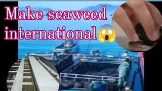 HOW TO MAKE SEAWEED OMGvviralvideo [upl. by Flam]