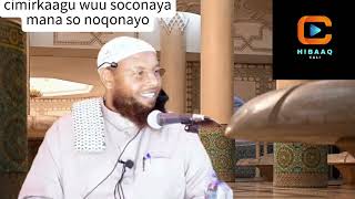 u dhawanshaha allle iyo cimrigaga shiikh maxamed xaliike [upl. by Llerrac]