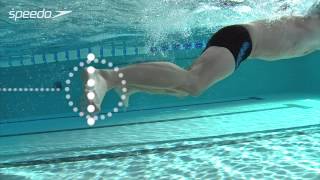 Get Speedo Fit  Brasse  Mouvements des jambes [upl. by Arodoeht]