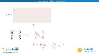 Matemática  Razón y proporción Área de un rectángulo [upl. by Brittnee]