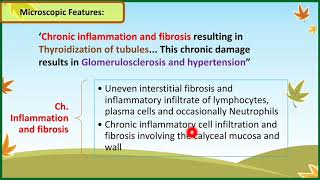 Acute Pyelonephritis And Chronic Pyelonephritis  Pathology [upl. by Goldsworthy]