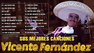 Vicente fernández mix romanticas viejitas para adoloridos  las mejores canciones rancheras 2024 [upl. by Rad164]