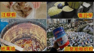 燃料油车运食用油算什么，互害下的中国食品正在为人类进入星际大航海时代培育新质食物链 [upl. by Annaeiluj]