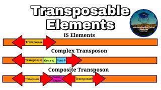 Transposable Elements  Informative Microbiology Lectures  Molecular Biology by Doctordr [upl. by Ahsika]