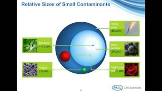 Production amp Sterilization of Biopharmaceutical Nanoemulsions using Filtration [upl. by Iveson]