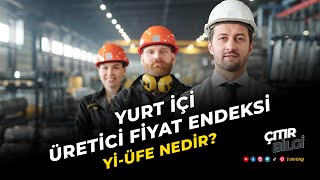 Yurt İçi Üretici Fiyat Endeksi  YİÜFE  Nedir   Temel Ekonomi Kavramları [upl. by Nerita]