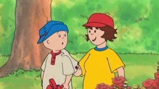 Caillou Season 1 Episode 62 I Caillou the Jungle Explorer [upl. by Togram]