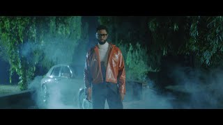 Ric Hassani  Thunder Fire You Official Video [upl. by Colbye]