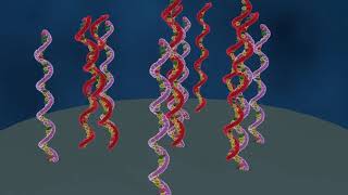 DNA microarray explained english speak [upl. by Toms]