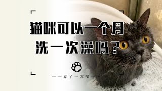 猫咪多久洗一次澡合适？1个月洗1次可以吗？ [upl. by Watt12]