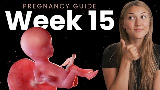 15 Weeks Pregnant  Week By Week Pregnancy [upl. by Llevron]