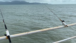 Fishing Townsville Rockpool Again [upl. by Halian]