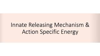 Innate releasing mechanism and action specific energy [upl. by Cornie]