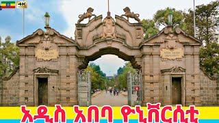 የግቢ ትዝታዎች  Addis Ababa University 🇪🇹 Ethiopia Walking tour 2024 [upl. by Rosanna]