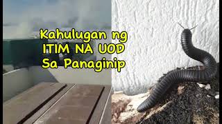 KAHULUGAN NG ITIM NA UOD SA PANAGINIP [upl. by Henriette]