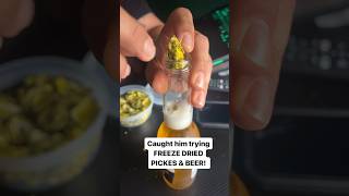 Freeze Dried Pickles amp Beer would you try it freezedried pickles reaction firsttime try [upl. by Hilar]