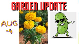 Garden update for August 4th [upl. by Lovel]