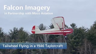 Tailwheel Flying in a 1946 Taylorcraft BC12D [upl. by Nuncia102]