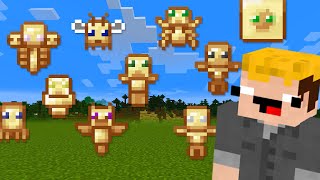 Minecraft Totems For Every Mob derpbro [upl. by Nodroj]