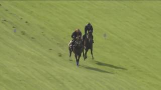 Cracksman working at Breakfast With The Stars BWTS [upl. by Clauddetta983]