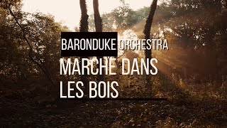 Balade Musicale  Marche dans les Bois  Album Orchestra  Instrumental Relaxant [upl. by Qirat]